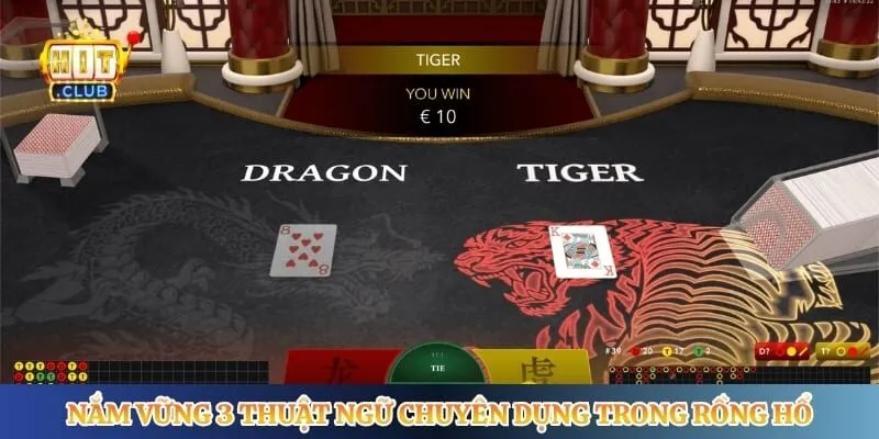 Nắm vững 3 thuật ngữ chuyên dụng trong rồng hổ