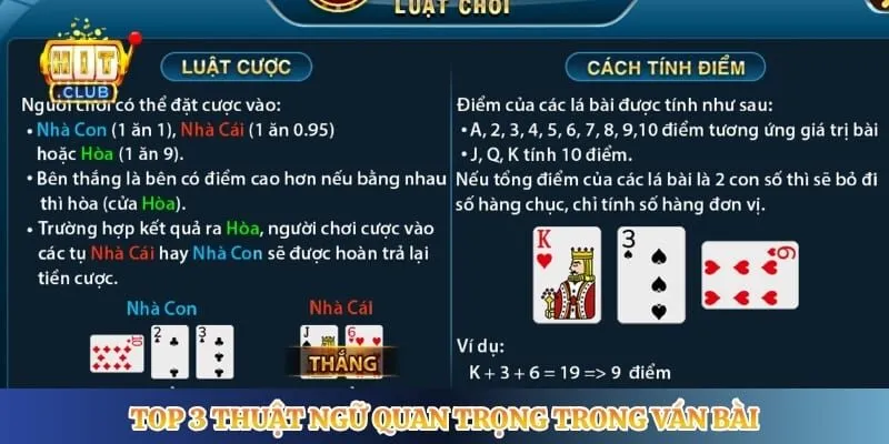 Top 3 thuật ngữ quan trọng trong ván bài